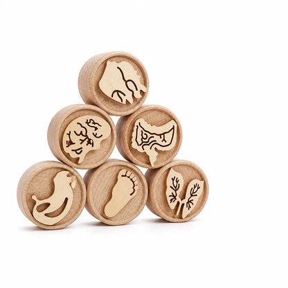Wooden Montessori-Inspired Kids Clay Stamp Set (Set of 6)